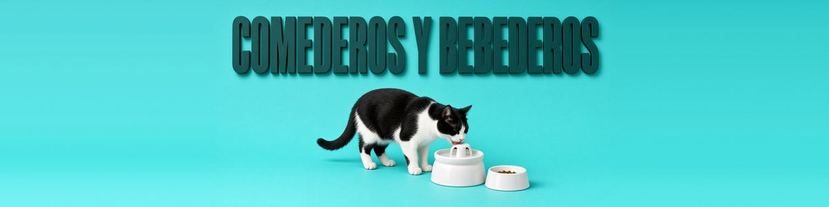 Gato blanco y negro bebiendo de una fuente, COMEDEROS Y BEBEDEROS
