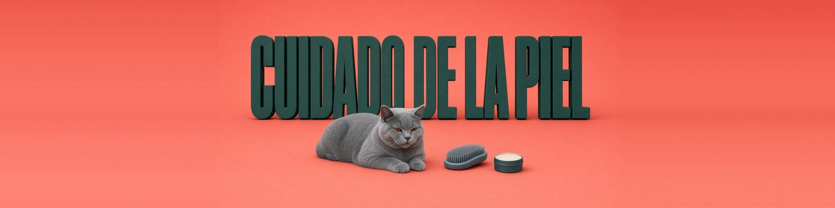 British shorthair junto a un cepillo y un bálsamo, CUIDADO DE LA PIEL