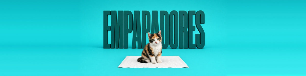 Gatita carey sobre un empapador, EMPAPADORES