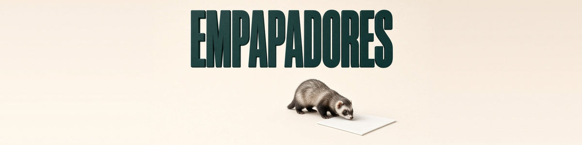 Hurón plateado oliendo un empapador, EMPAPADORES