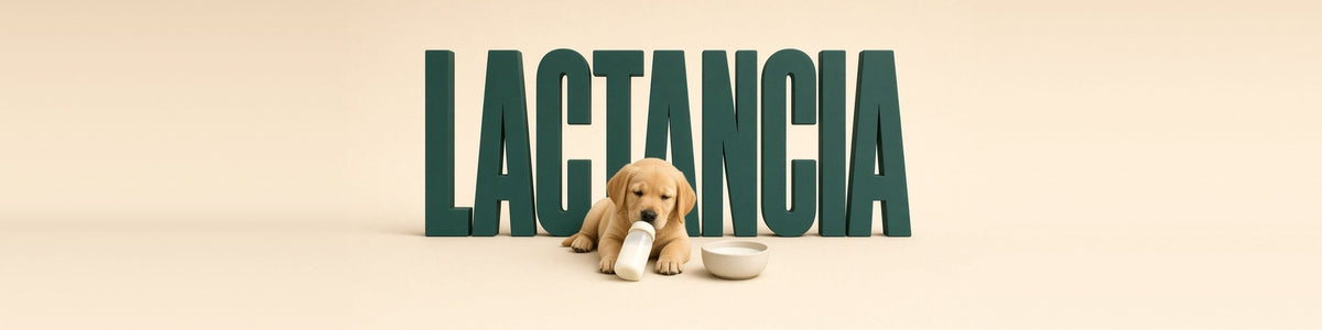 Cachorro de labrador con biberón, LACTANCIA