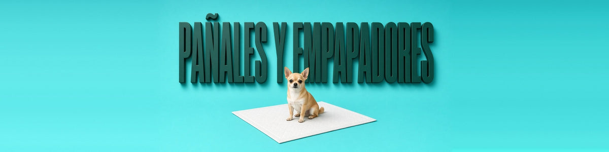 Chihuahua sobre un empapador, PAÑALES Y EMPAPADORES