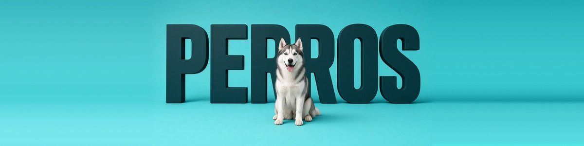 Husky delante de la palabra PERROS
