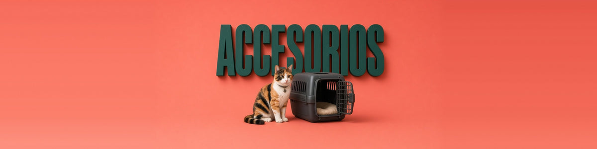 Accesorios para gatos