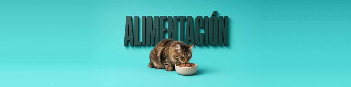 Alimentación para gatos