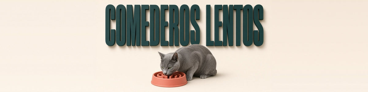Azul ruso comiendo de un comedero lento, COMEDEROS LENTOS
