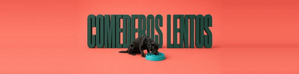 Labrador negro comiendo de un comedero lento, COMEDEROS LENTOS