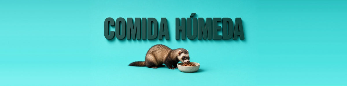 Hurón marrón comiendo comida húmeda, COMIDA HÚMEDA