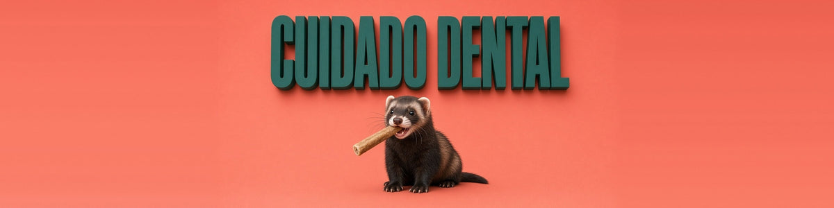 Hurón oscuro mordiendo una barrita dental, CUIDADO DENTAL
