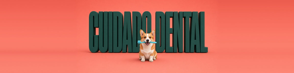 Corgi con un cepillo de dientes en la boca, CUIDADO DENTAL