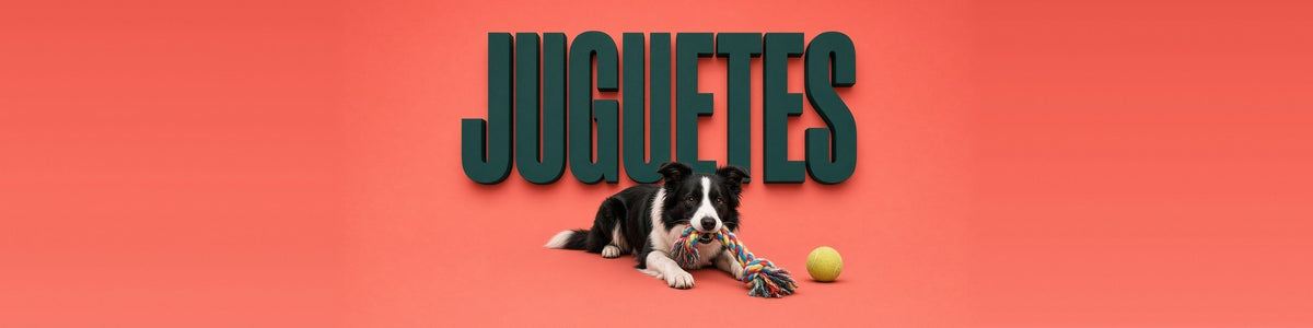 Border collie con una cuerda, JUGUETES