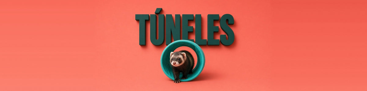 Hurón saliendo de un túnel turquesa, TÚNELES