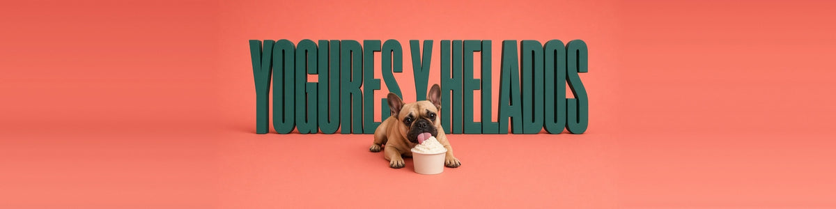 Bulldog francés lamiendo un helado, YOGURES Y HELADOS