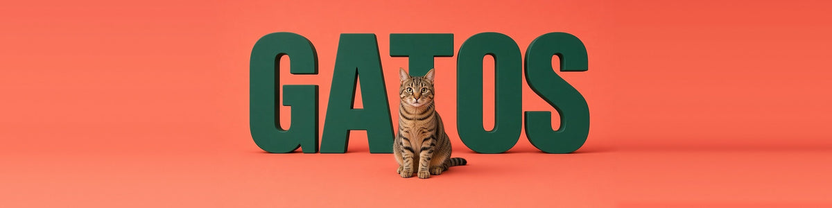 Gato delante de la palabra GATOS