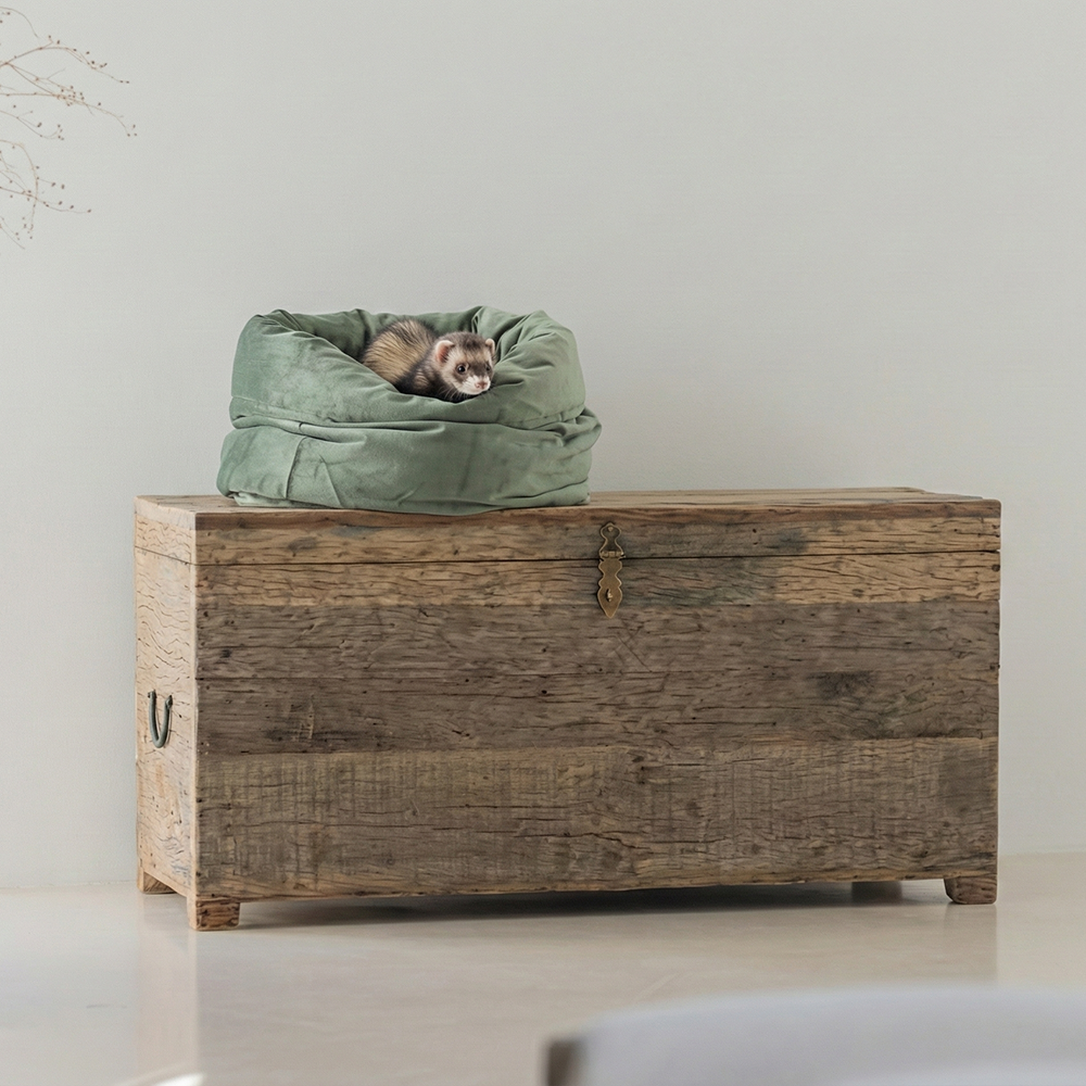 Designed By Lotte cama Fluco suave para gatos