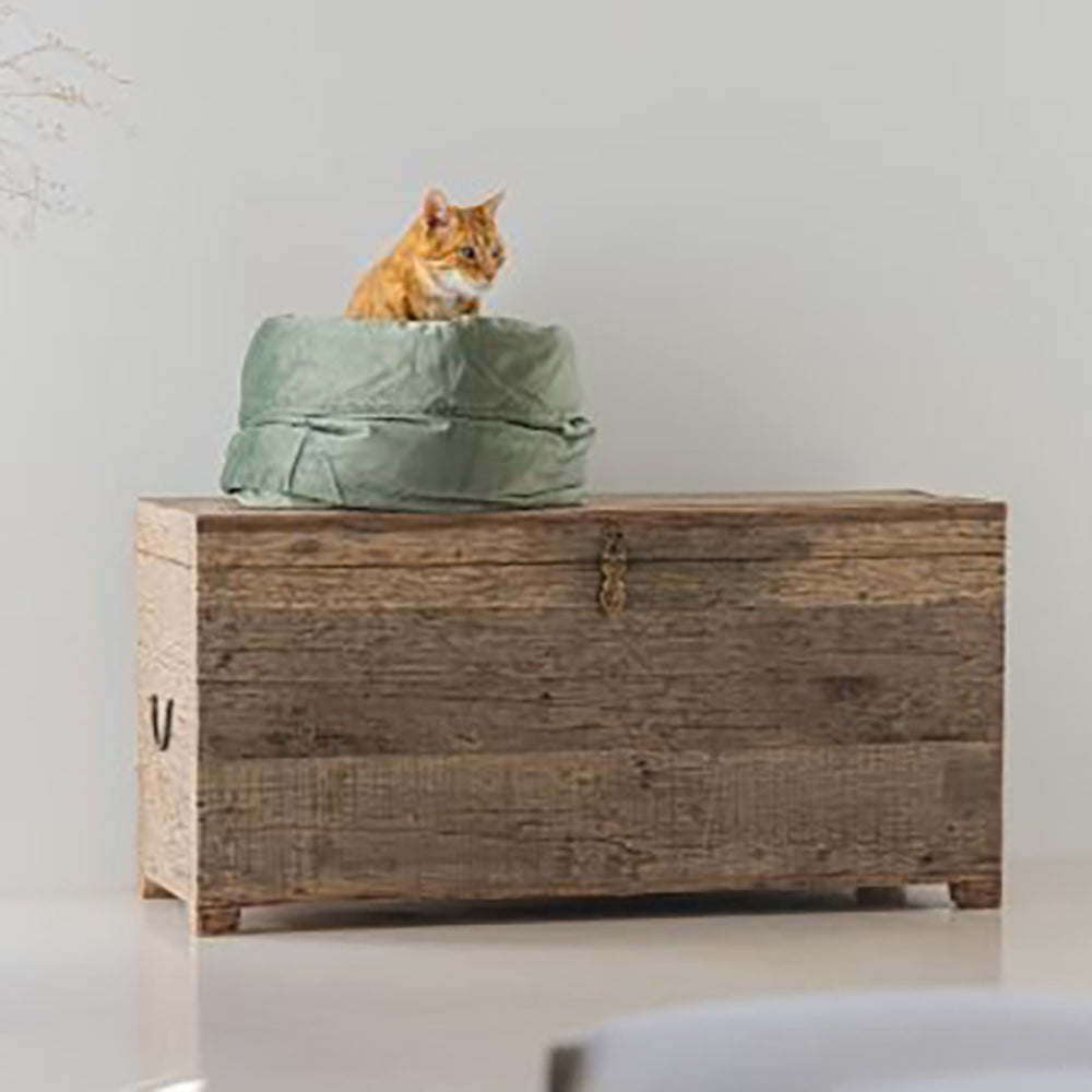 Designed By Lotte cama Fluco suave para gatos