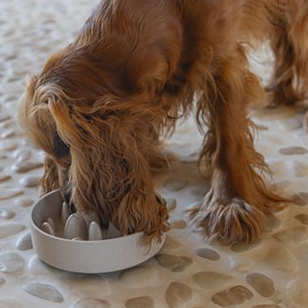 Designed By Lotte comedero de bambú antivoracidad para perros y gatos