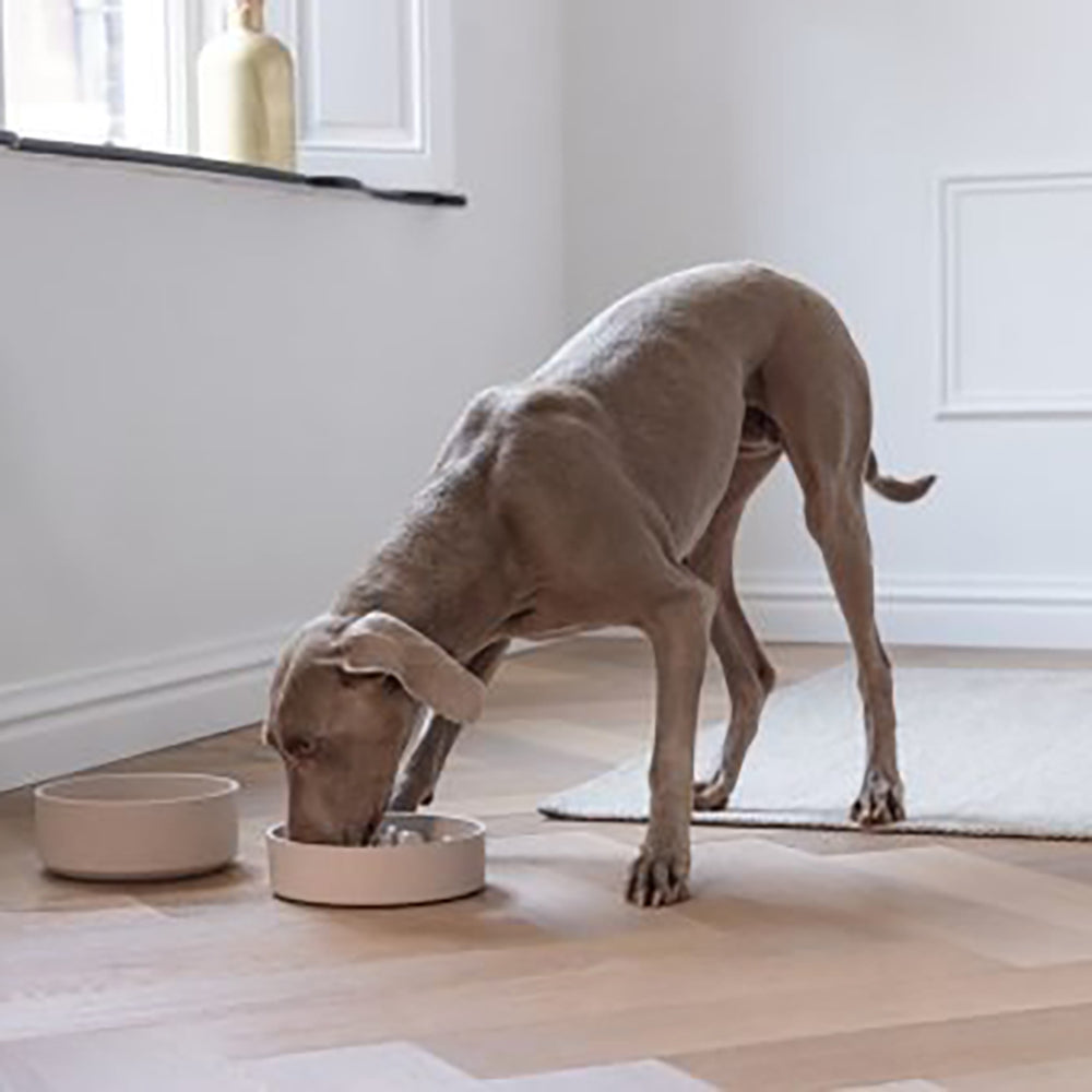 Designed By Lotte comedero de bambú antivoracidad para perros y gatos