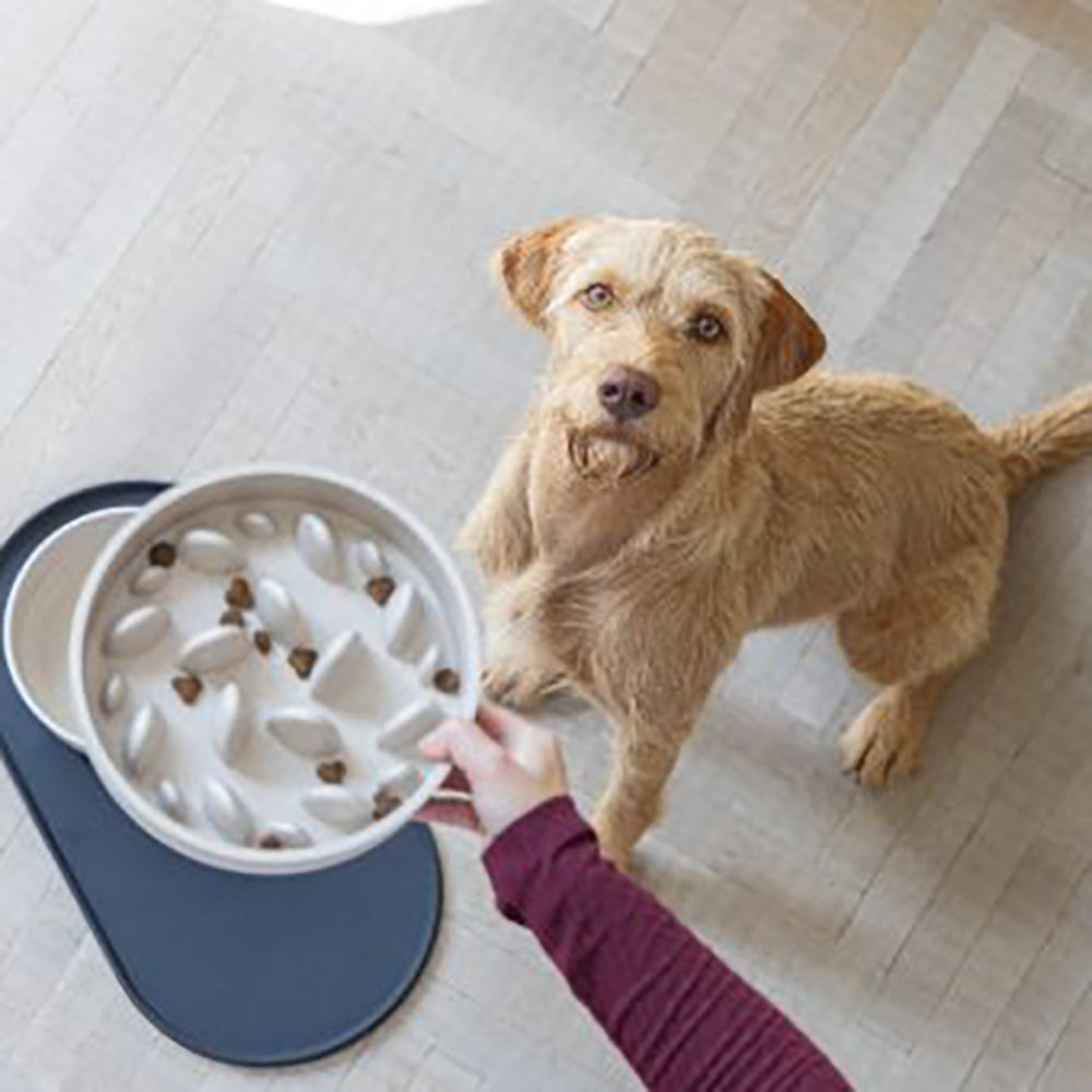 Designed By Lotte comedero de bambú antivoracidad para perros y gatos