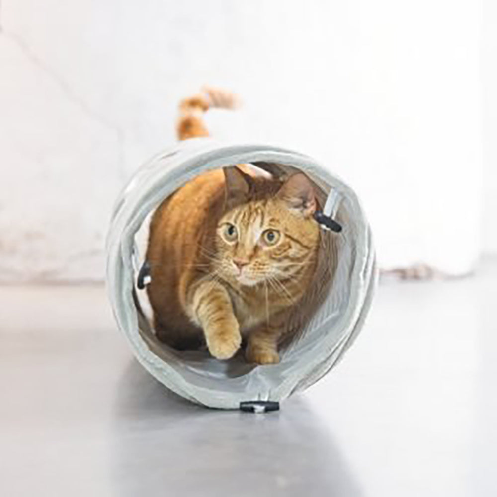 Designed By Lotte túnel acanalado de velvet para gatos