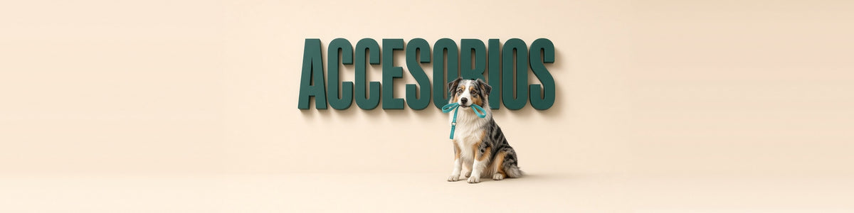 Accesorios para perros