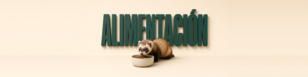 Alimentación para hurones