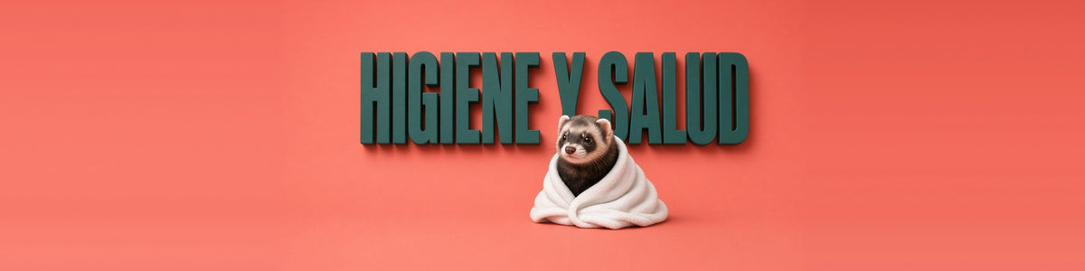 Higiene y salud para hurones