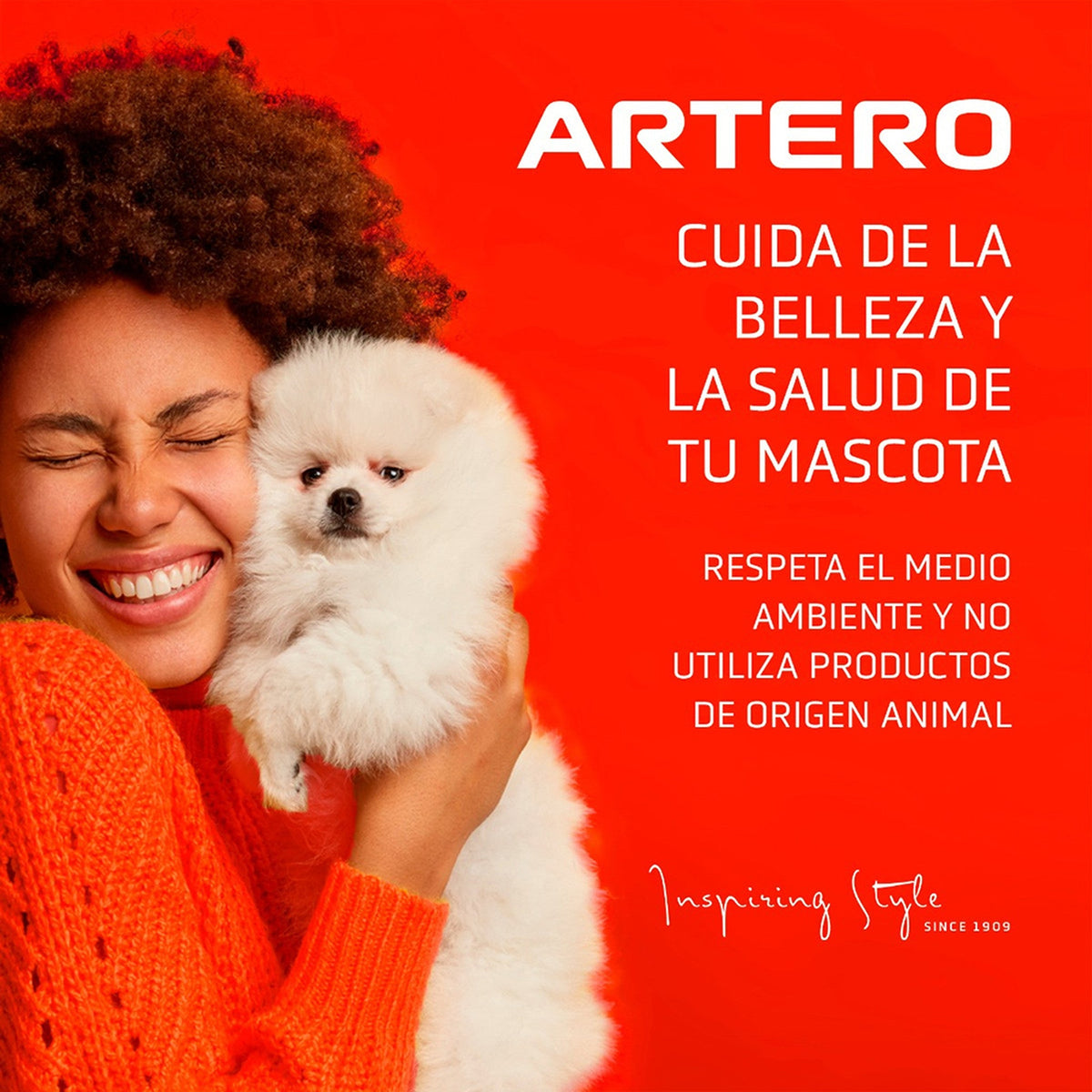 Artero polvo hemostático Drakula