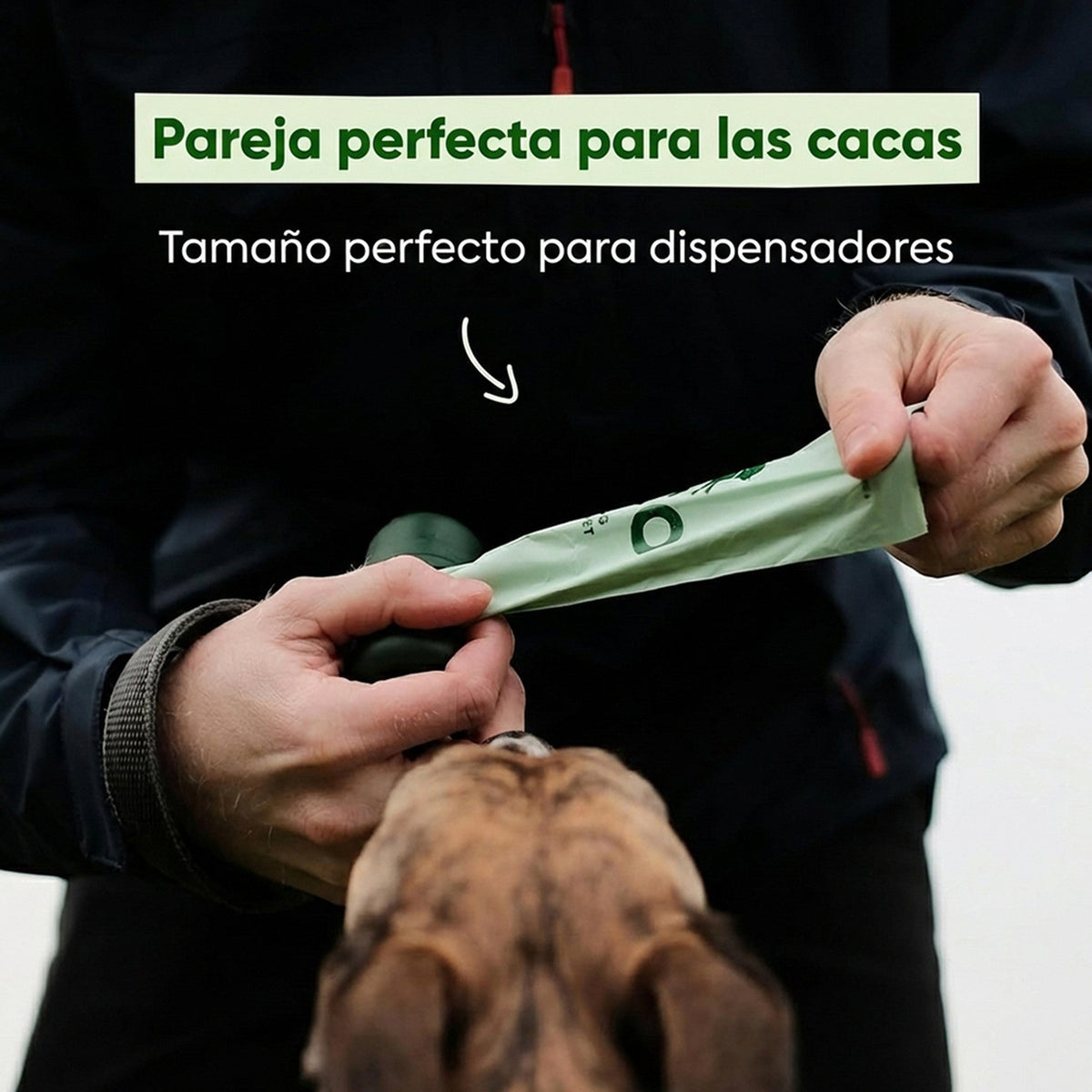 Beco bolsas reciclables sin aroma