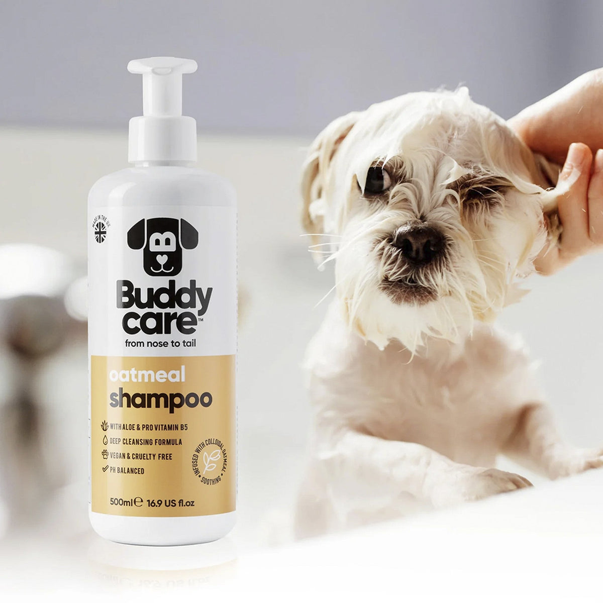Buddycare champú de avena para perros