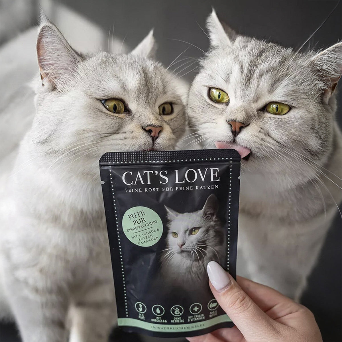 CAT’S LOVE puro pavo comida húmeda para gatos