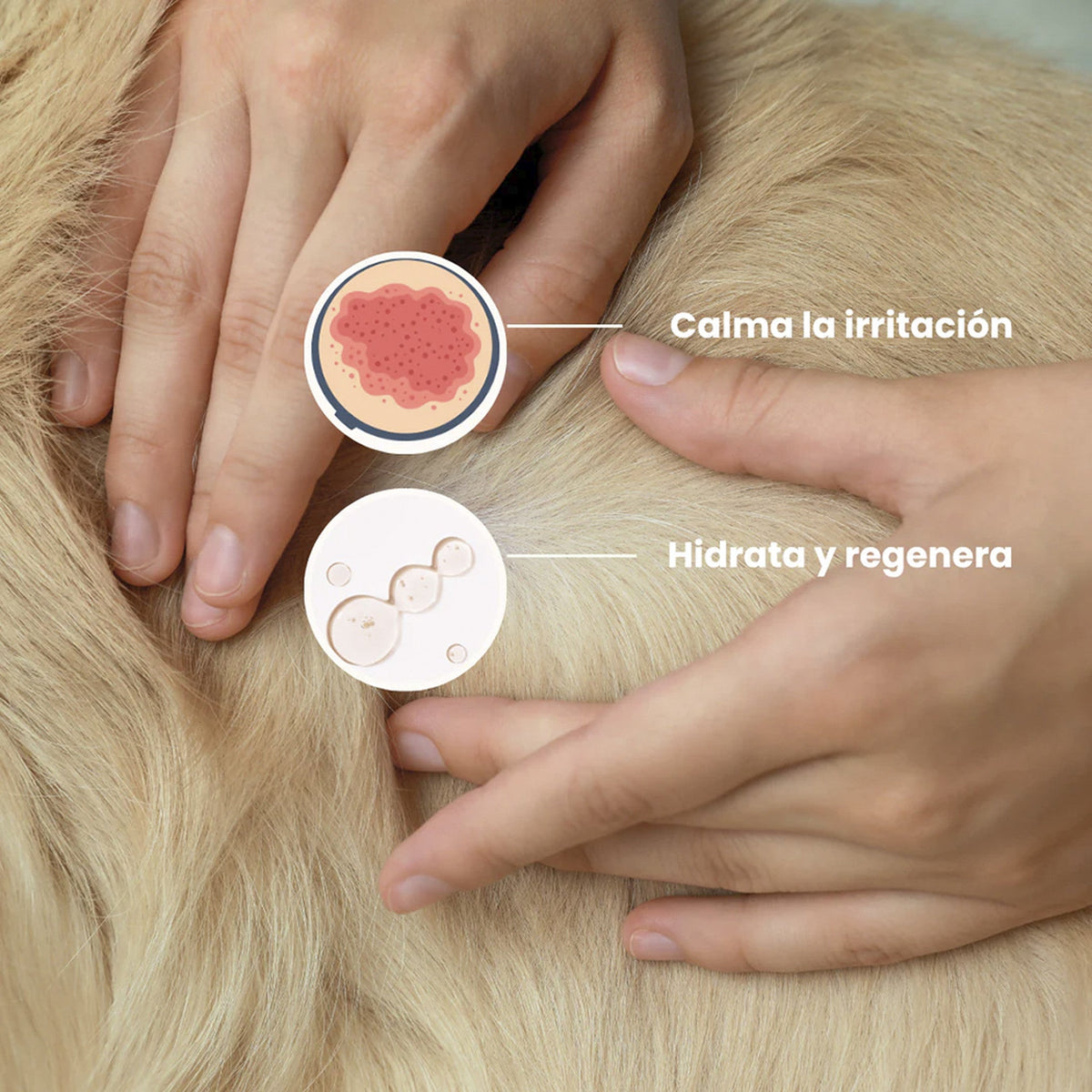 MascoBeauty champú natural purificante para pieles sensibles