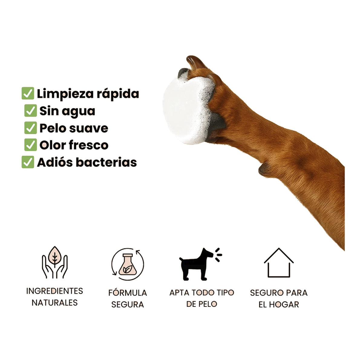 MascoBeauty champú seco en espuma