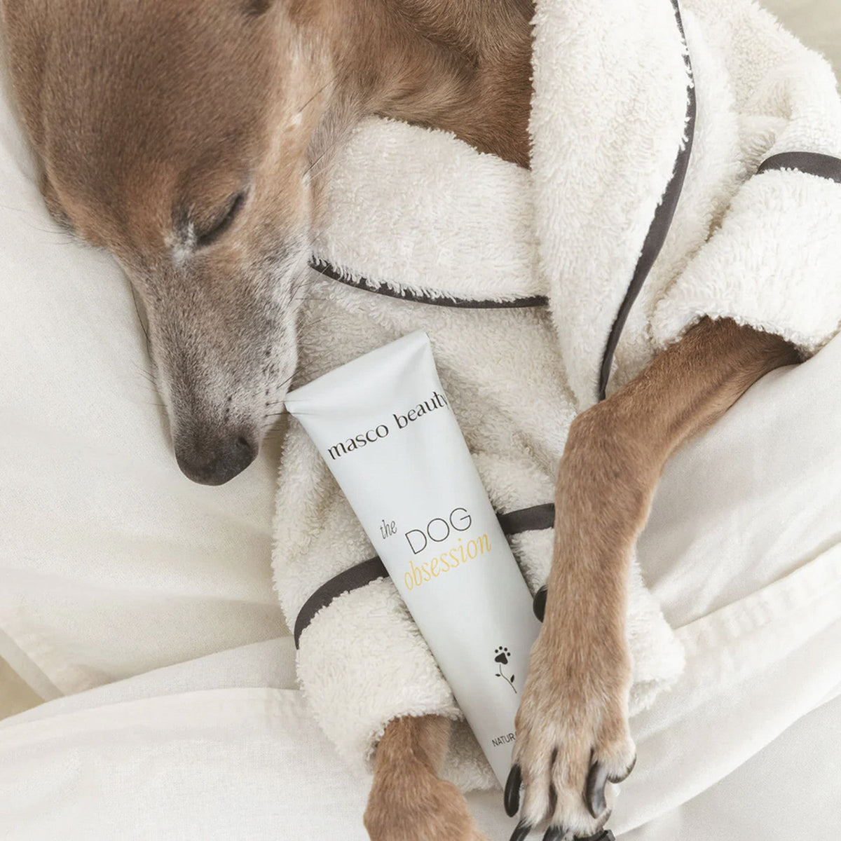 MascoBeauty crema almohadillas, hocico y zonas secas