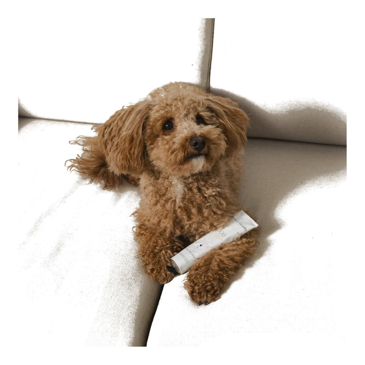 MascoBeauty crema almohadillas, hocico y zonas secas
