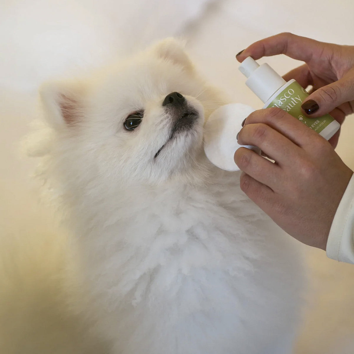MascoBeauty limpiador ocular y zona lagrimal