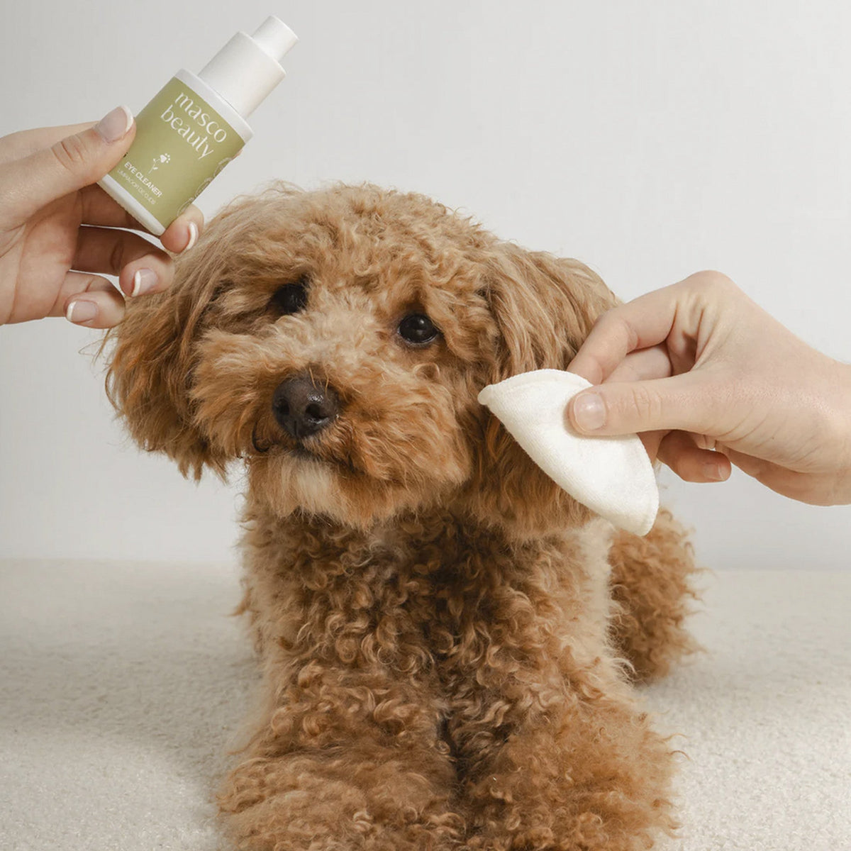 MascoBeauty limpiador ocular y zona lagrimal