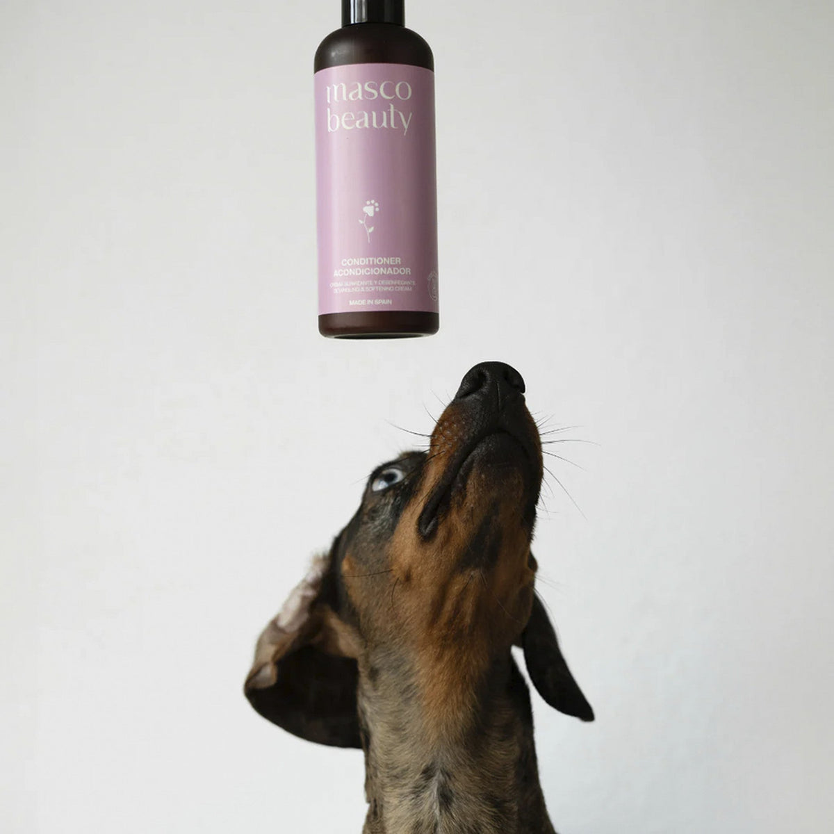 MascoBeauty acondicionador para perros y gatos