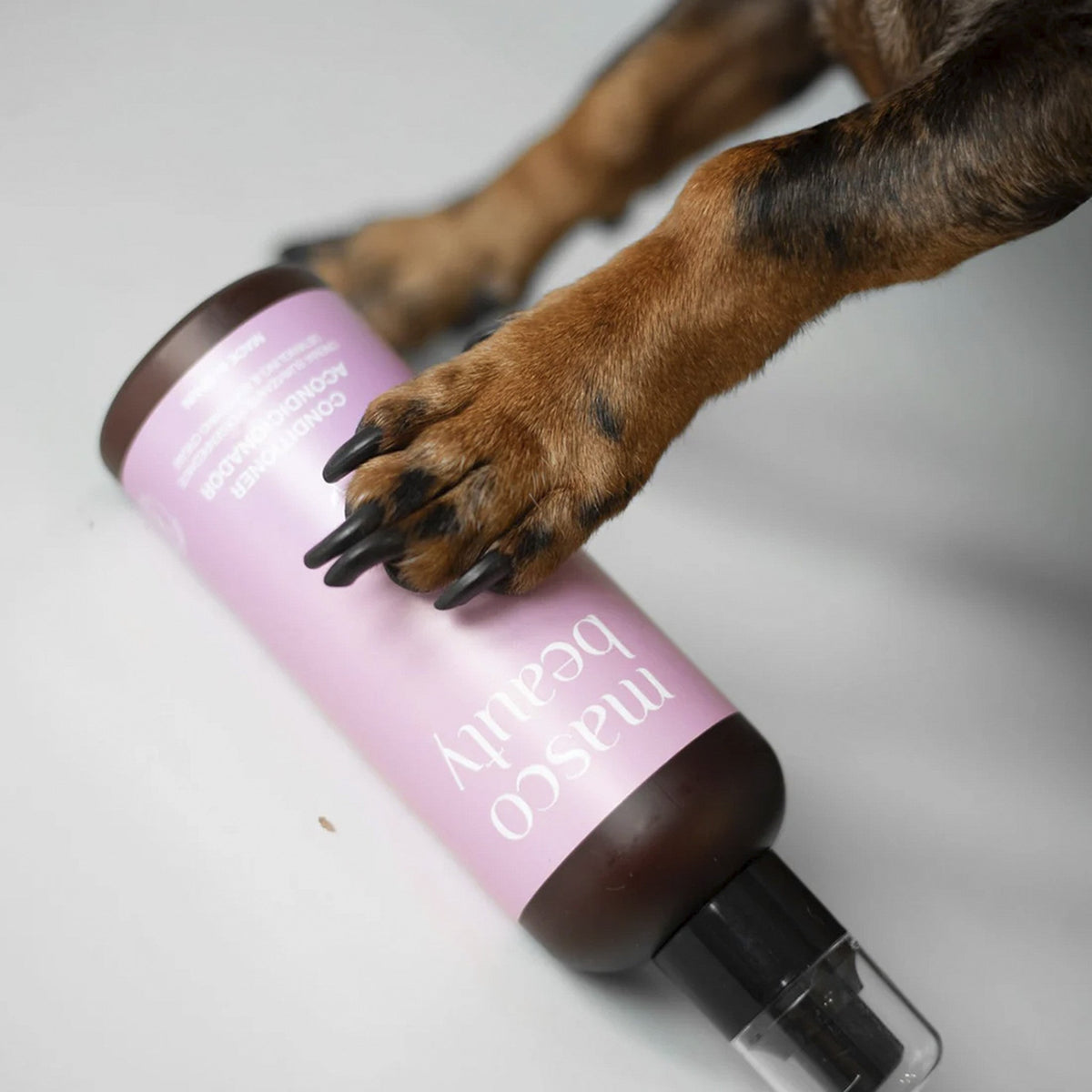 MascoBeauty acondicionador para perros y gatos