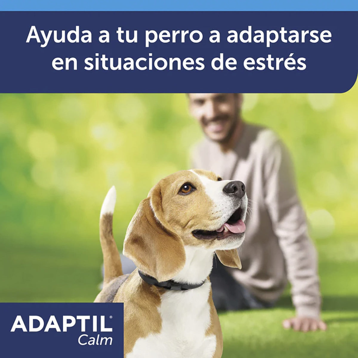 Adaptil Calm Collar para perros adultos