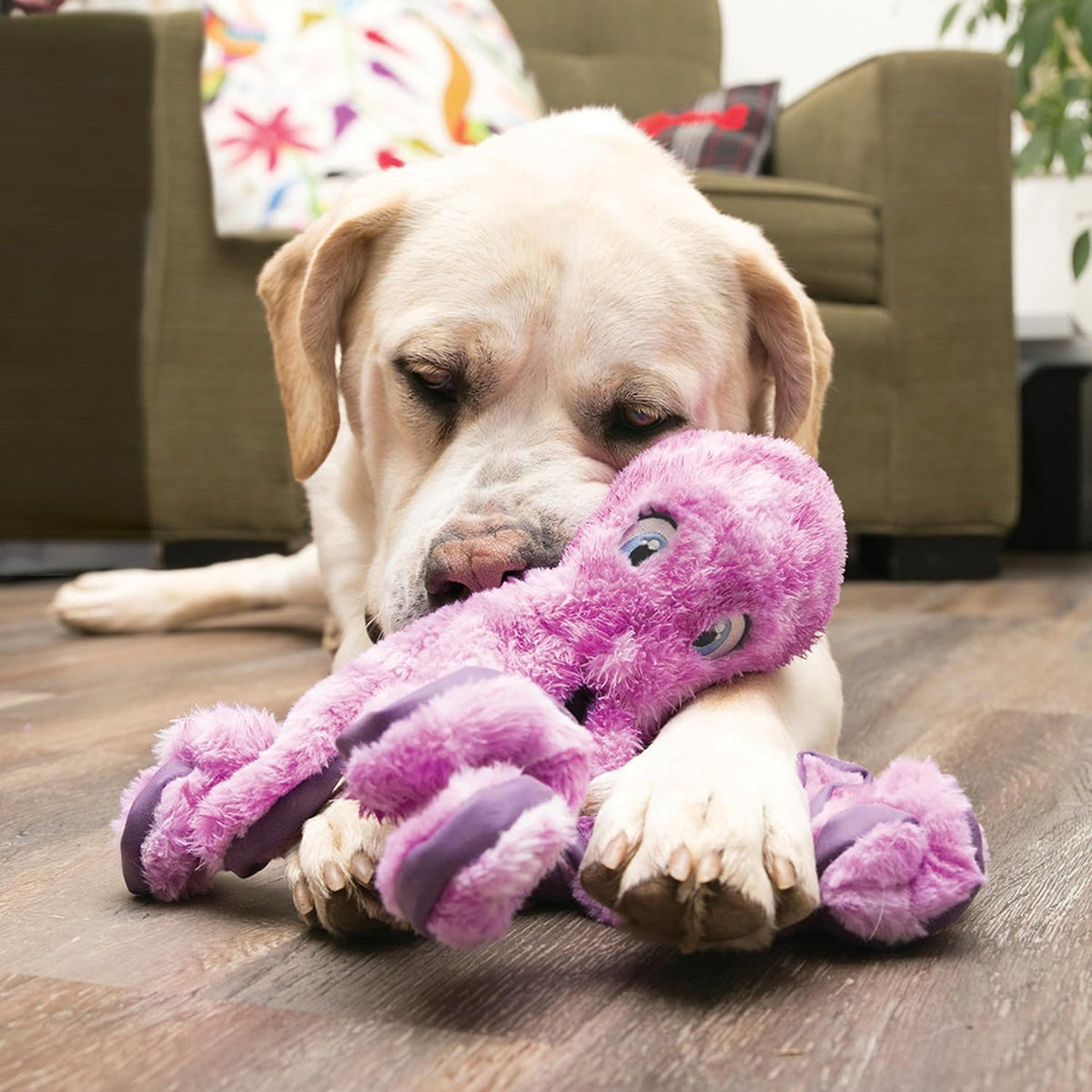 KONG Softseas Octopus