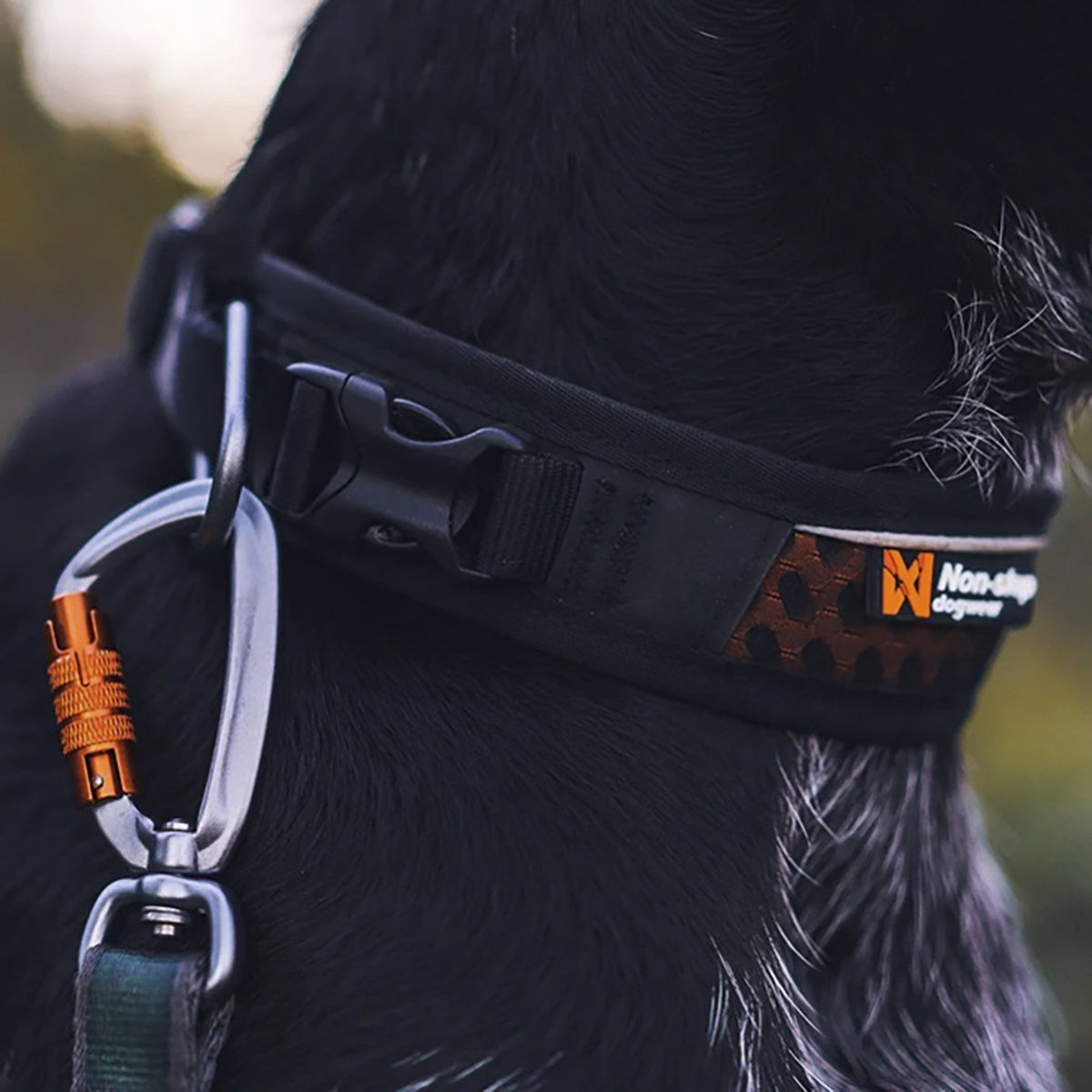 Non-stop collar Rock ajustable