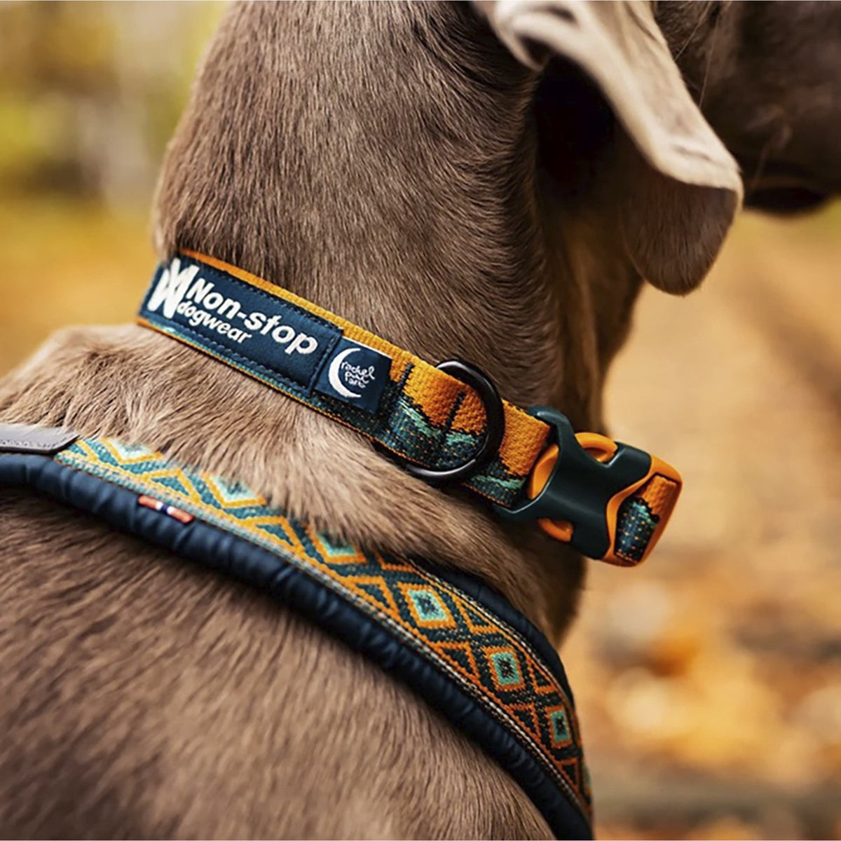 Non-stop collar Trail Quest Rachel Pohl Edition turquesa