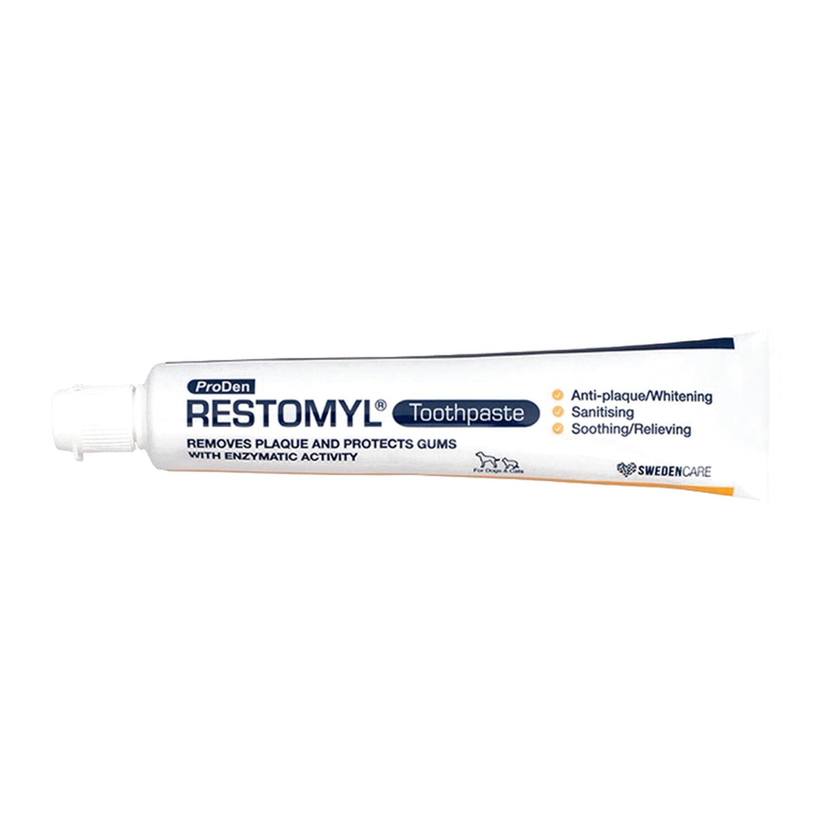 ProDen Restomyl pasta dental