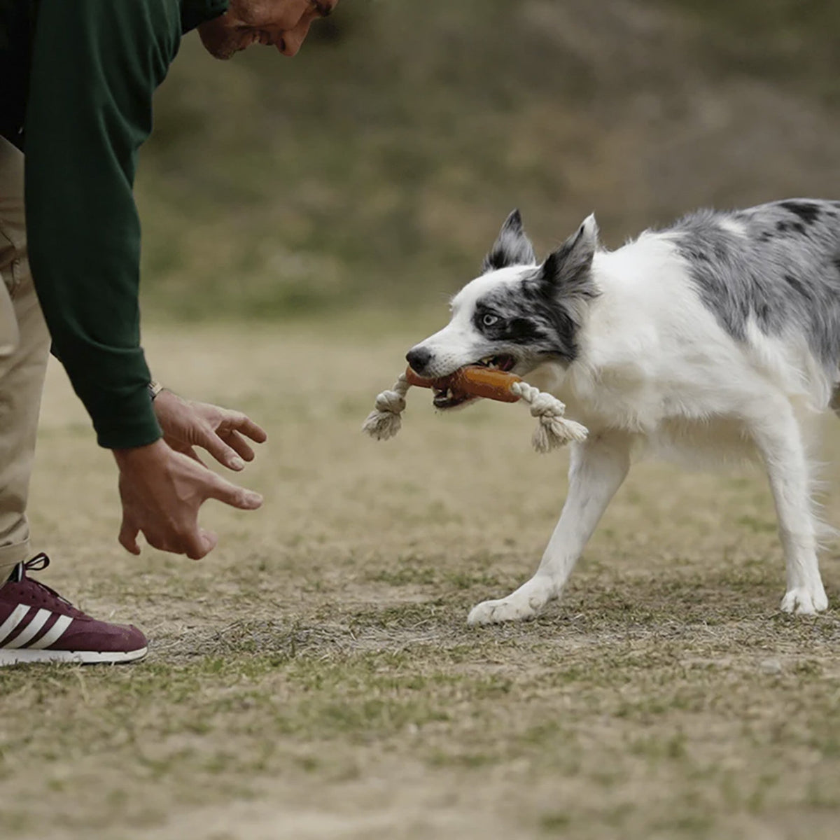 Rub Mordedor Flosser con Cuerda para Perros (Flosser with Rope)