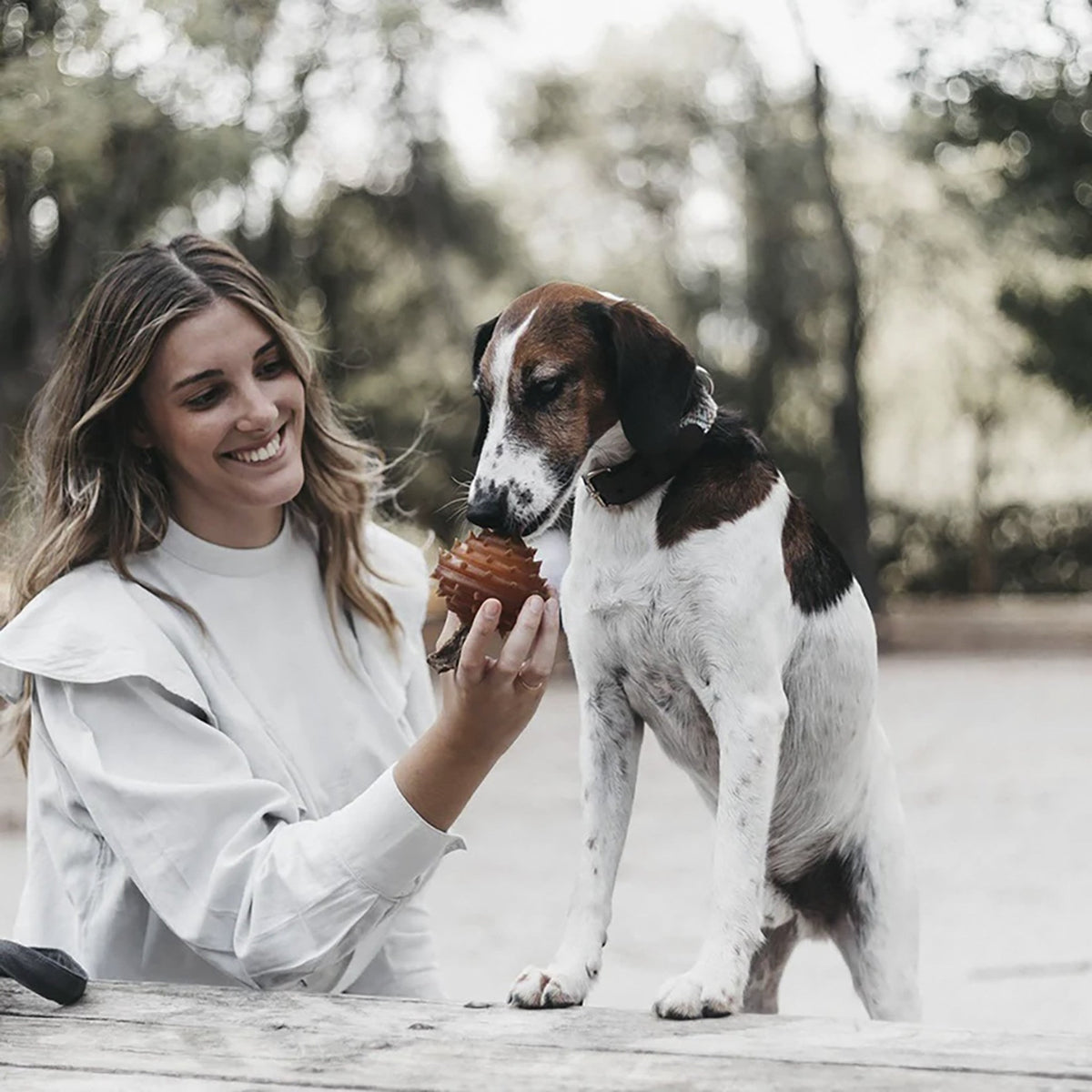 Rub Pelota con Pinchos para Perros (Spike Ball)