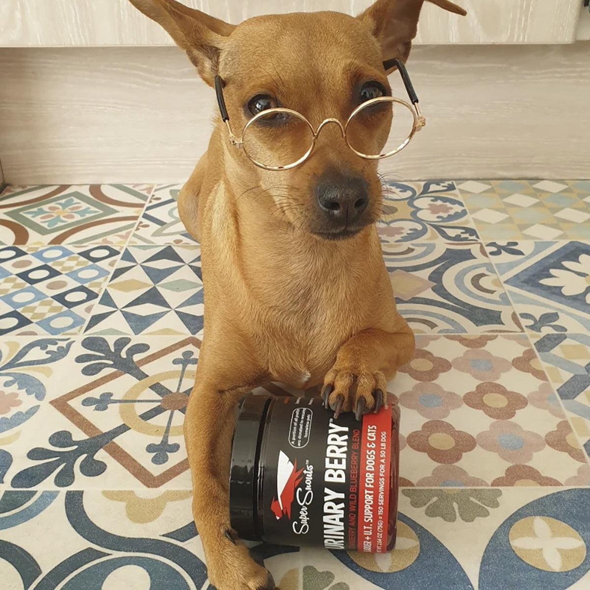 Super Snouts Urinary Berry - Apoyo al sistema urinario