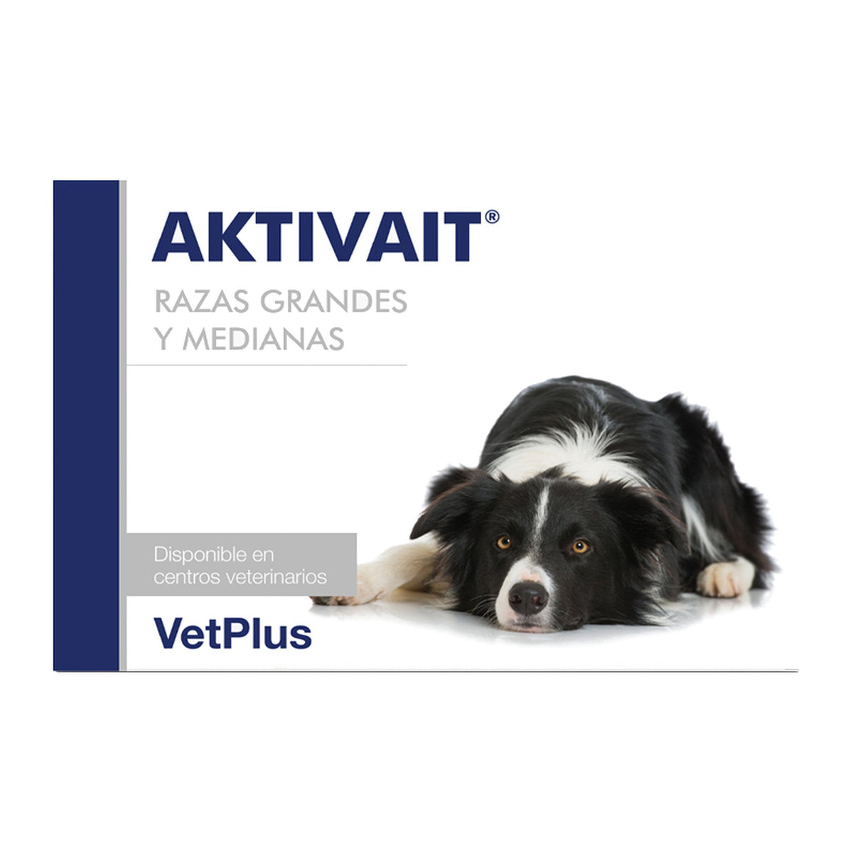 Aktivait para perros razas grandes >10kg