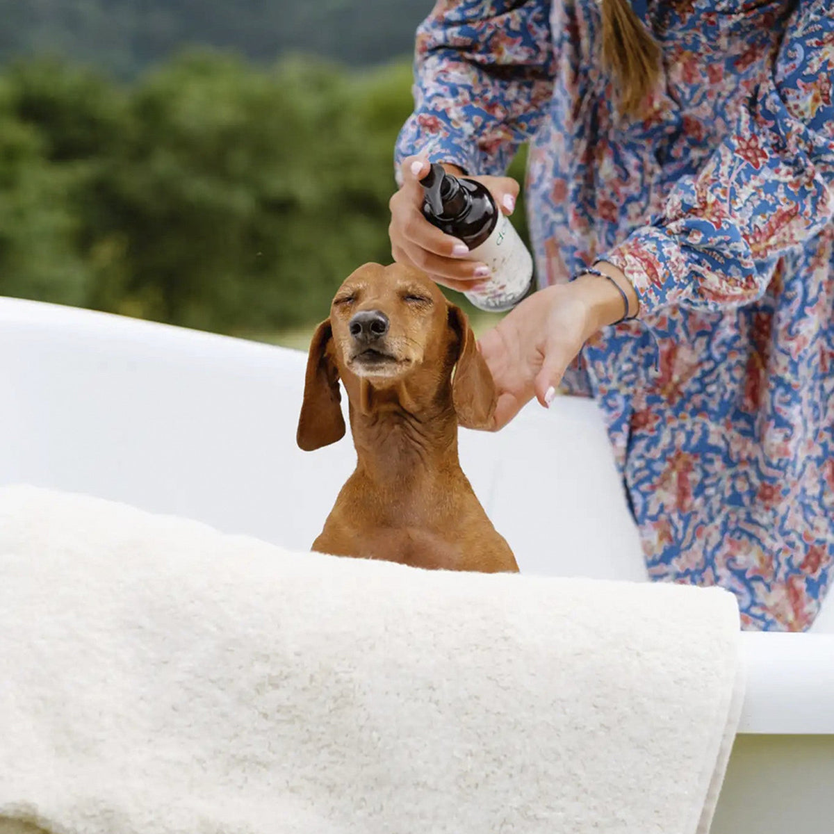 The Doog Life champú natural para perros