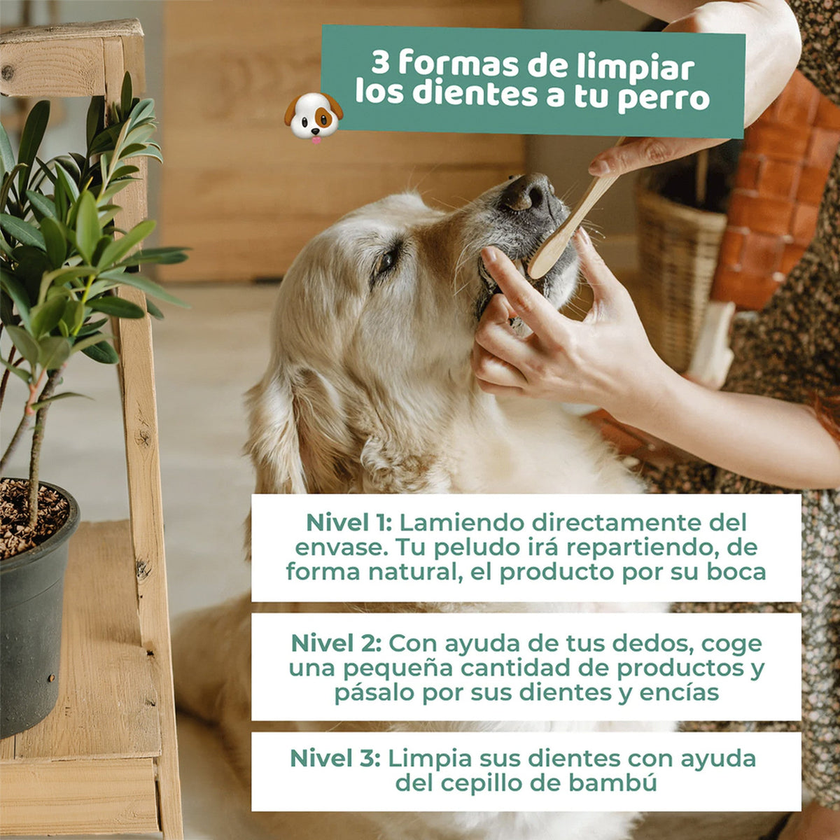 The Doog Life pasta de dientes natural para perros y gatos